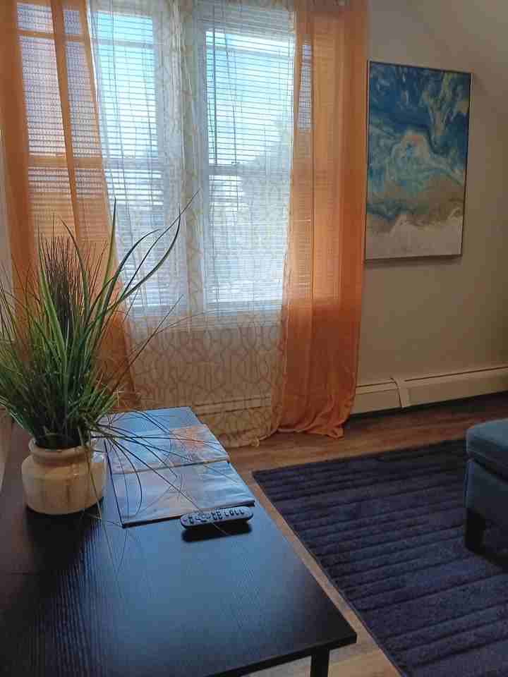 20 Hawkins St #1373656P - Photo 7 of 39