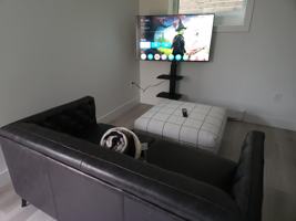 featured image of 3149 Rupert St