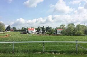 featured image of 48 Buckwalter Rd