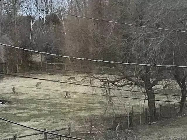 48 Buckwalter Rd - Photo 7 of 26