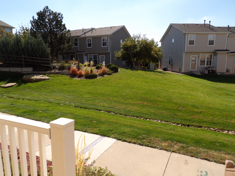 2163 Squawbush Ridge Grv - Photo 2 of 21