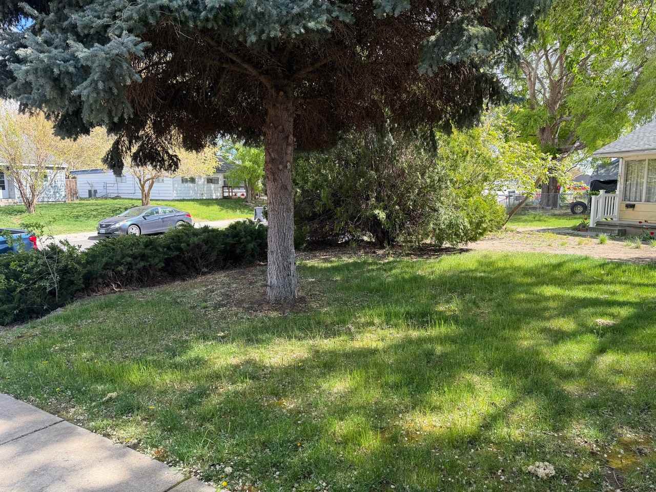 919 Snow Ave - Photo 2 of 15