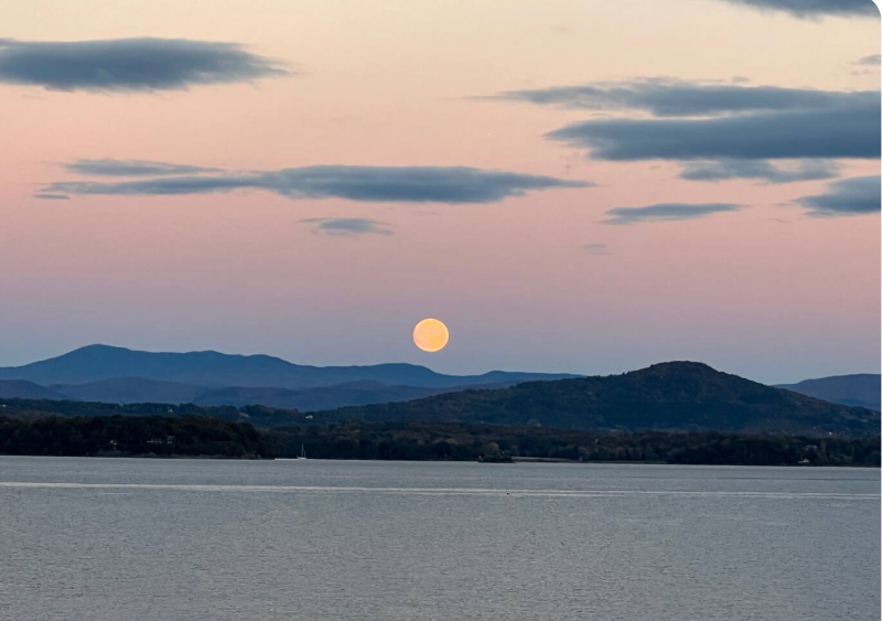 14 Lake Shore Rd - Photo 5 of 15