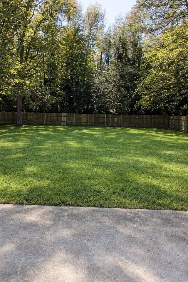 4625 Camellia Dr - Photo 5 of 5