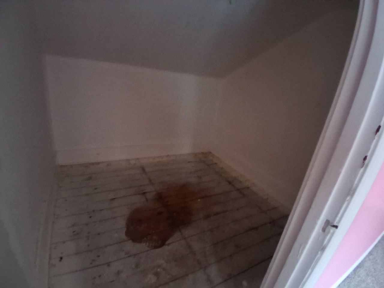 1729 N Woodford St - Photo 6 of 20