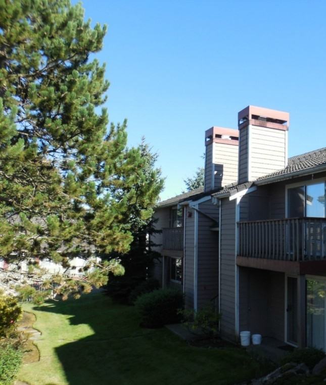 16817 Larch Way - Photo 6 of 19