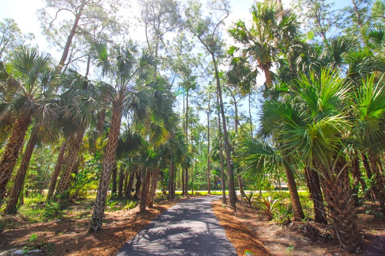 5095 Tallowood Way - Photo 3 of 50