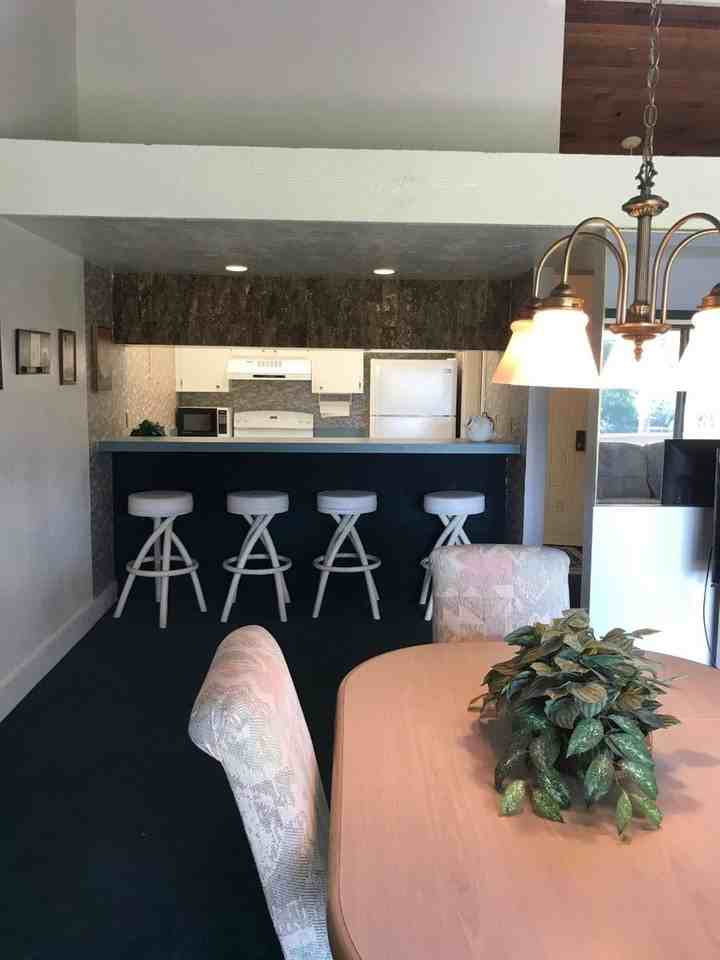 167 Palm View Ct - Photo 4 of 13