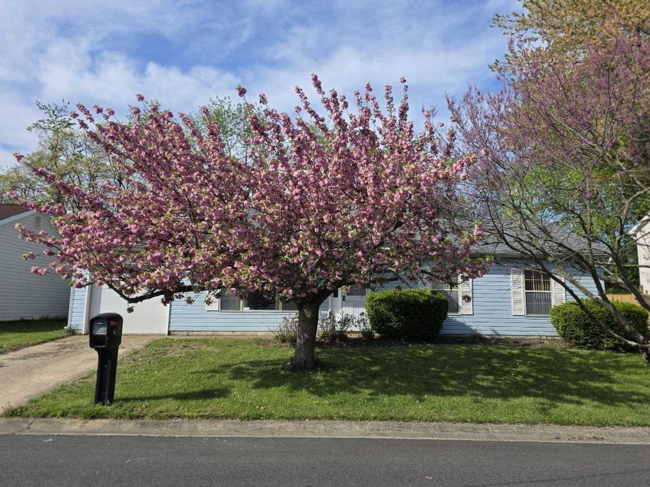 13 Honeysuckle Dr - Photo 3 of 16