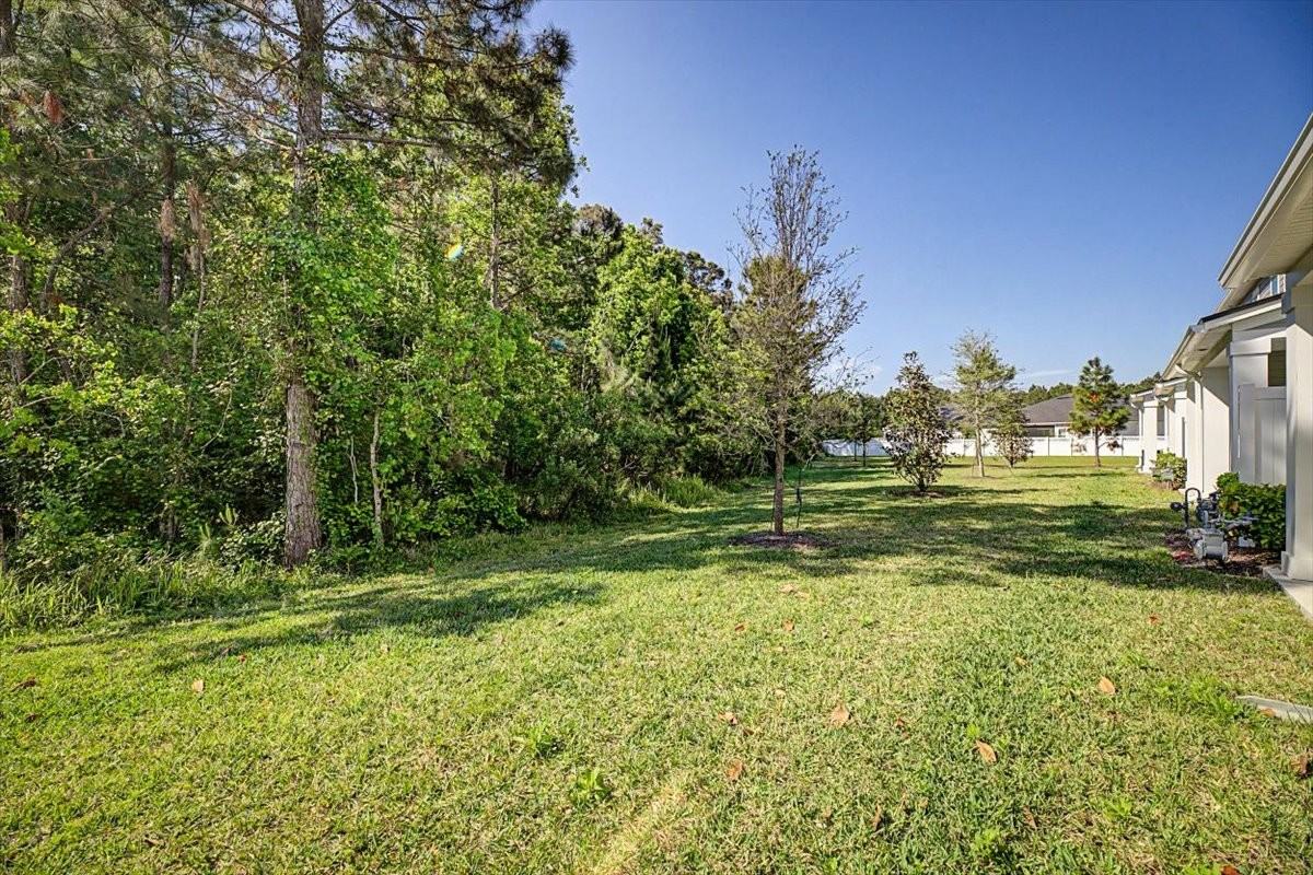 61 Mellowood Ln #1 - Photo 4 of 32