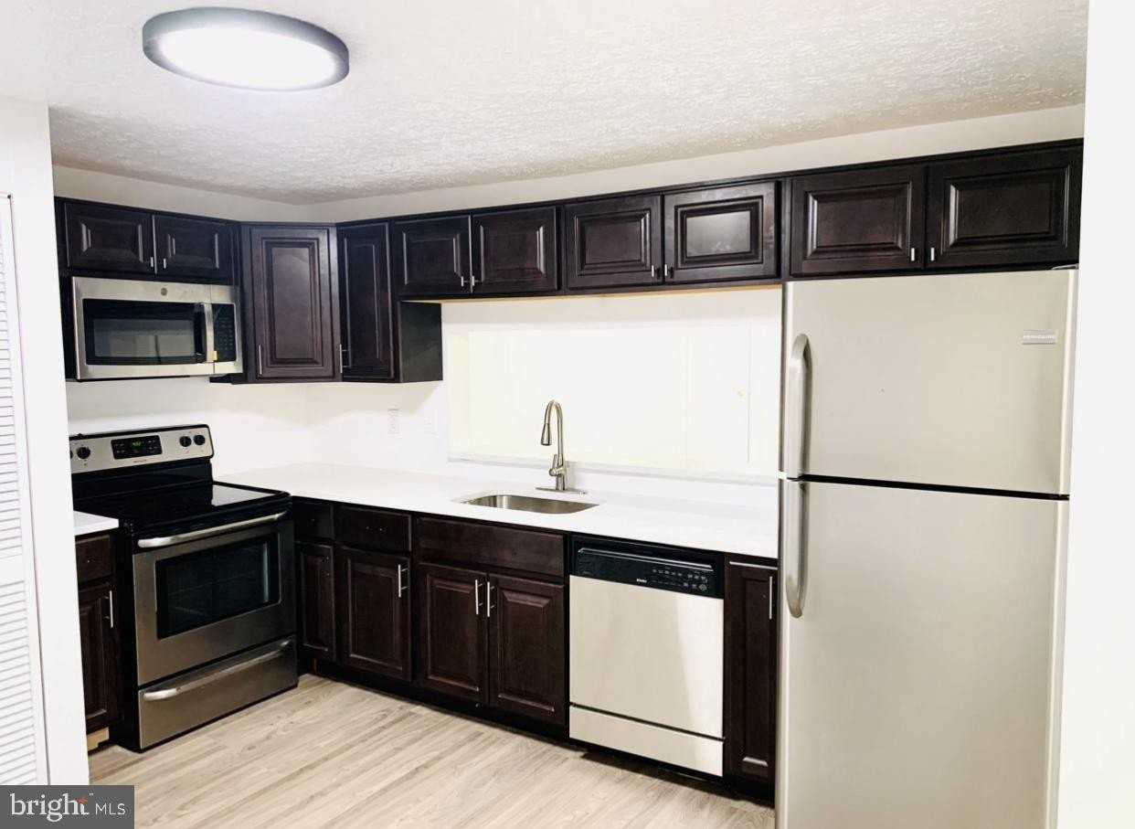 11815 Quassia Ct - Photo 4 of 14