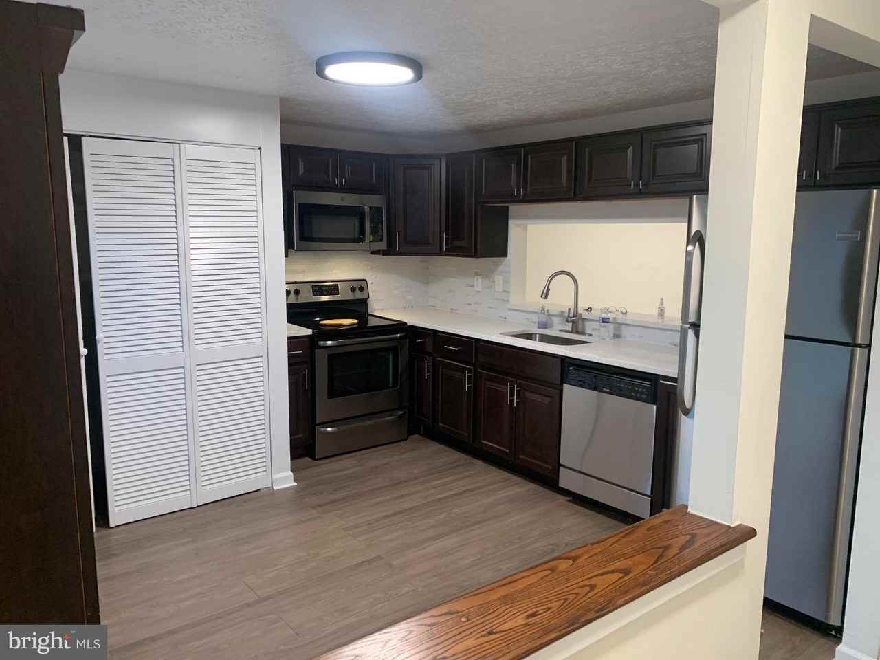 11815 Quassia Ct - Photo 5 of 14