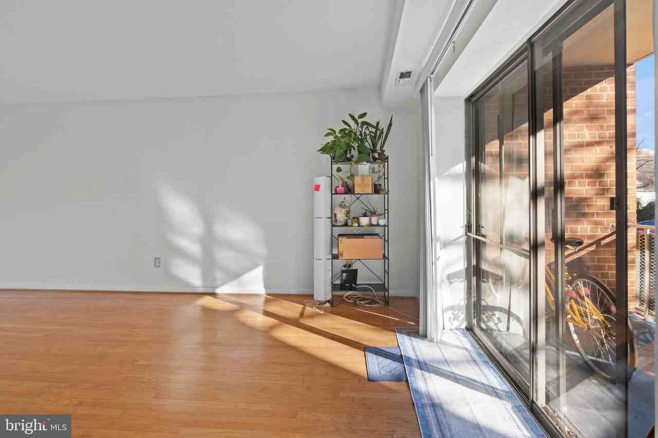 1931 N Cleveland St #213 - Photo 6 of 18