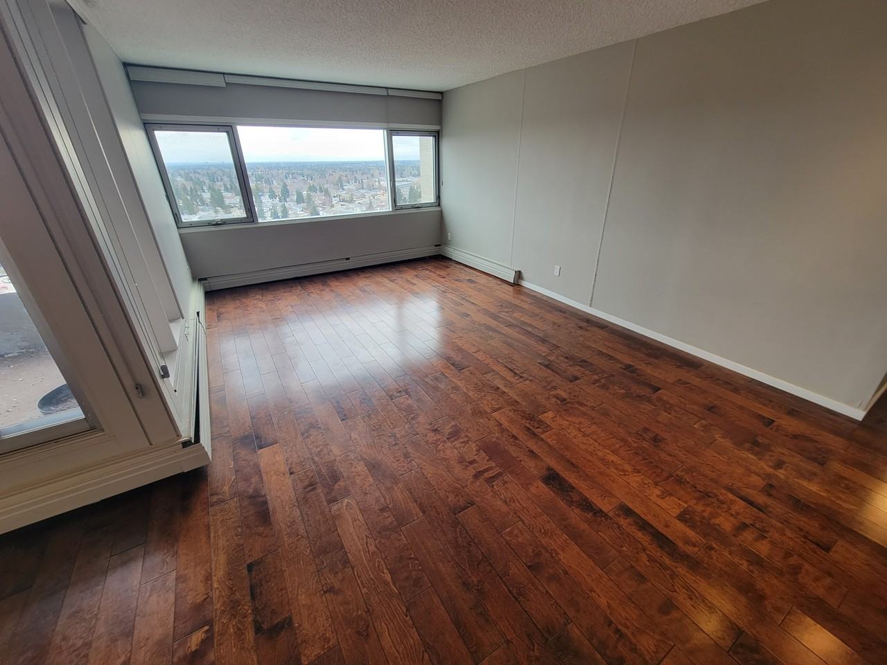8745 165 St Nw #1 - Photo 4 of 13