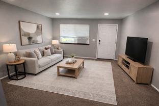 Zah4004(CWP) - Photo 1 of 1