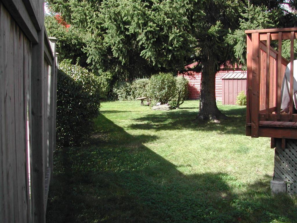 Modern, Clean, Private, 1BR Basement Avail Jun 1 - Photo 2 of 5