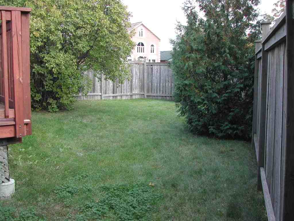 Modern, Clean, Private, 1BR Basement Avail Jun 1 - Photo 3 of 5