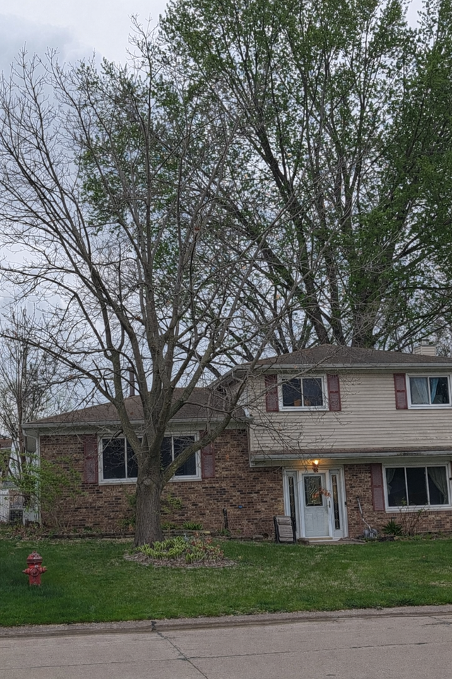 198 37th Ave - Photo 4 of 5