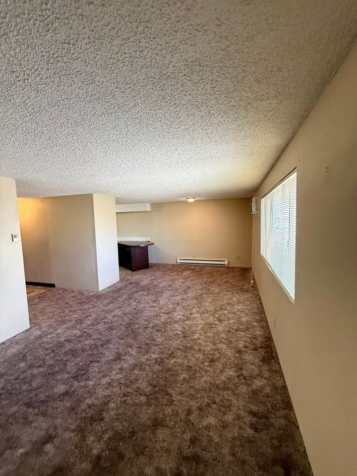 1203 Mitchell St - Photo 5 of 21