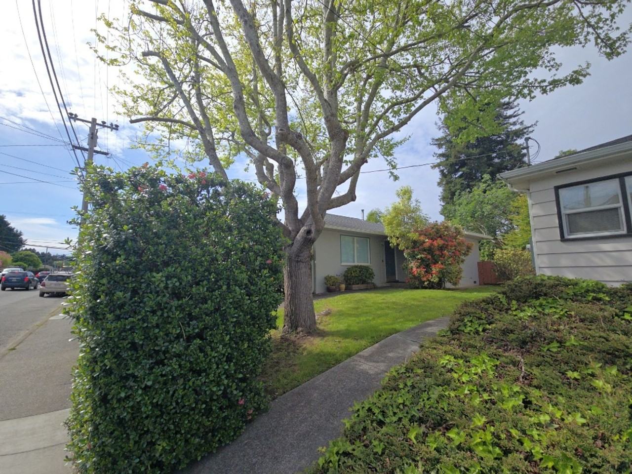 1921 Harris St - Photo 3 of 32