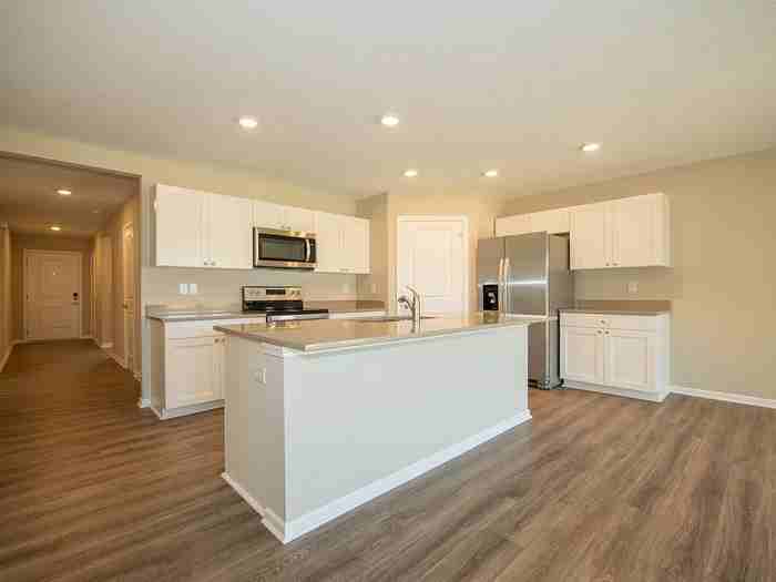 741 Marsh Aster Dr - Photo 5 of 18