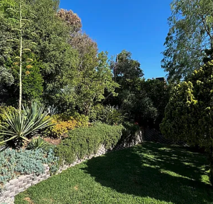 420 Tamarac Dr #NA - Photo 5 of 26