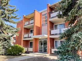 featured image of 55 Angus Rd