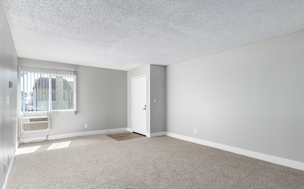 11217 Barnwall St - Photo 2 of 20