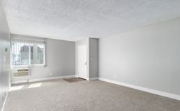 11217 Barnwall St - Photo 1 of 1