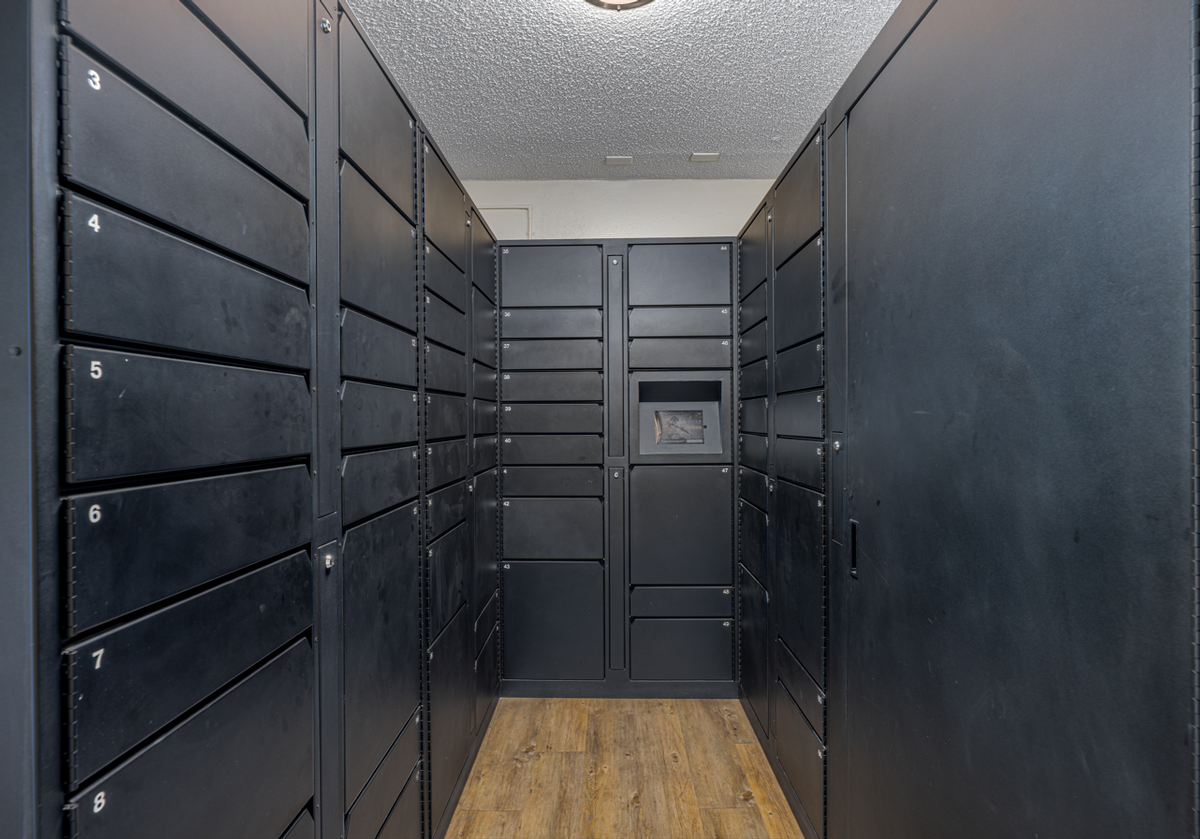 11217 Barnwall St - Photo 6 of 20