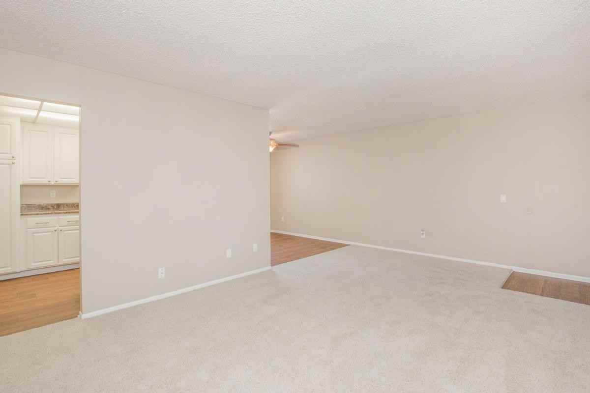 16162 Sher Ln - Photo 3 of 14