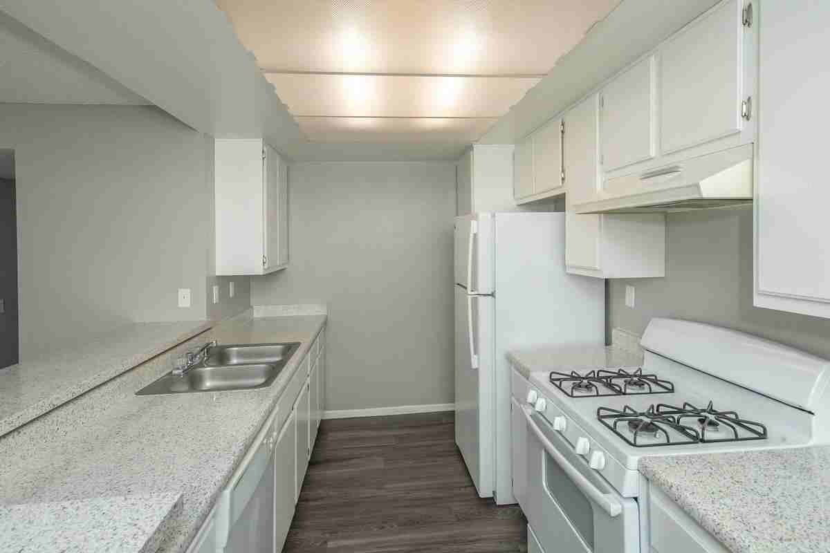3800 W Devonshire Ave - Photo 4 of 50