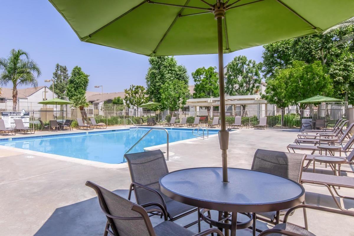 3800 W Devonshire Ave - Photo 6 of 50