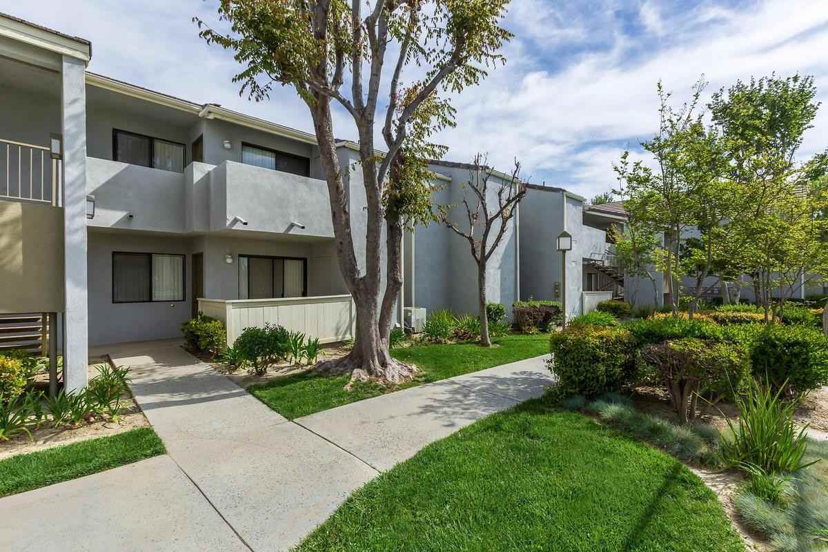 3800 W Devonshire Ave - Photo 4 of 50
