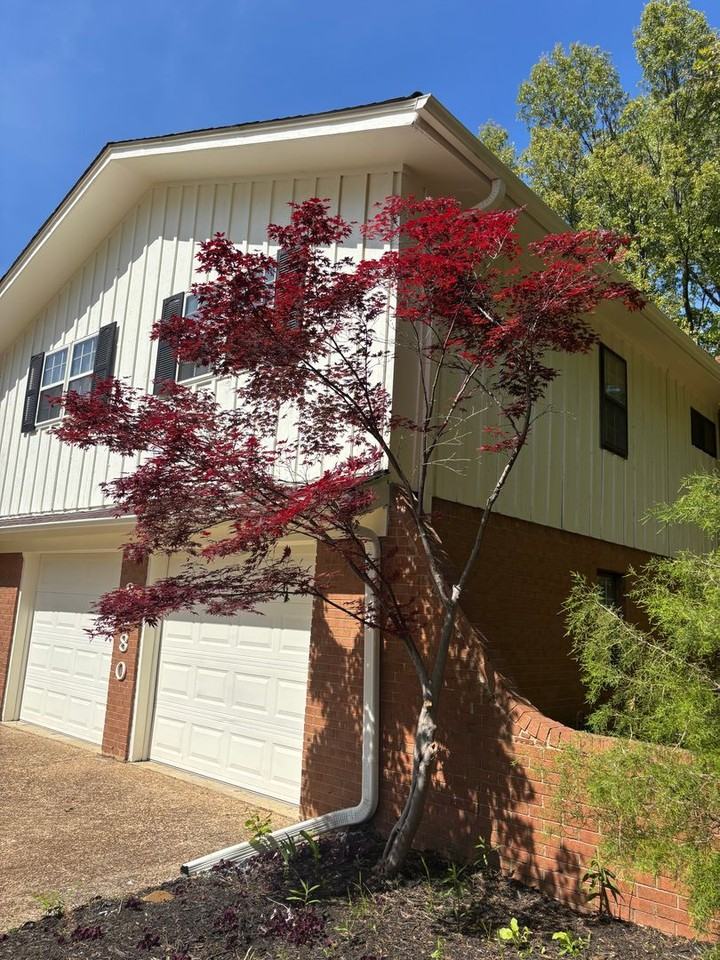 8280 Chippingham Dr - Photo 3 of 21