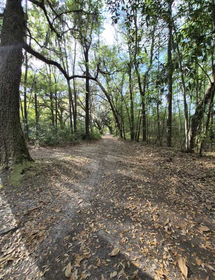 187 Mamies Rd #1 - Photo 4 of 21