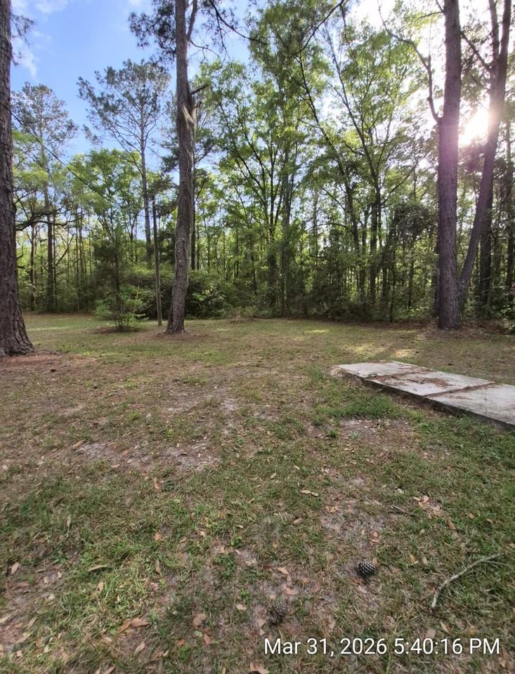 187 Mamies Rd #1 - Photo 5 of 21