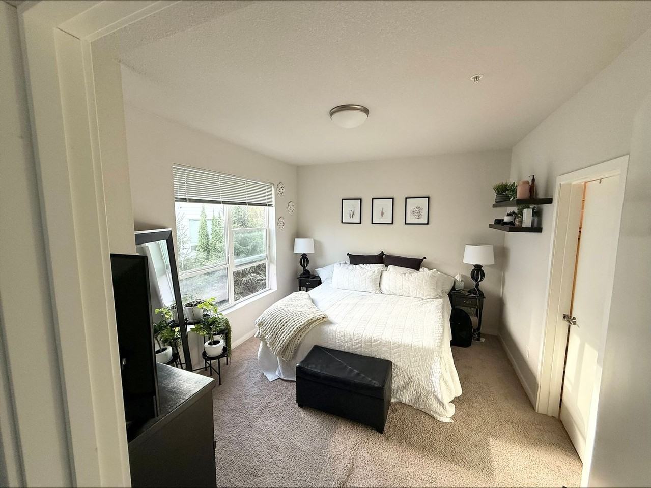 The Curtis - Photo 5 of 18