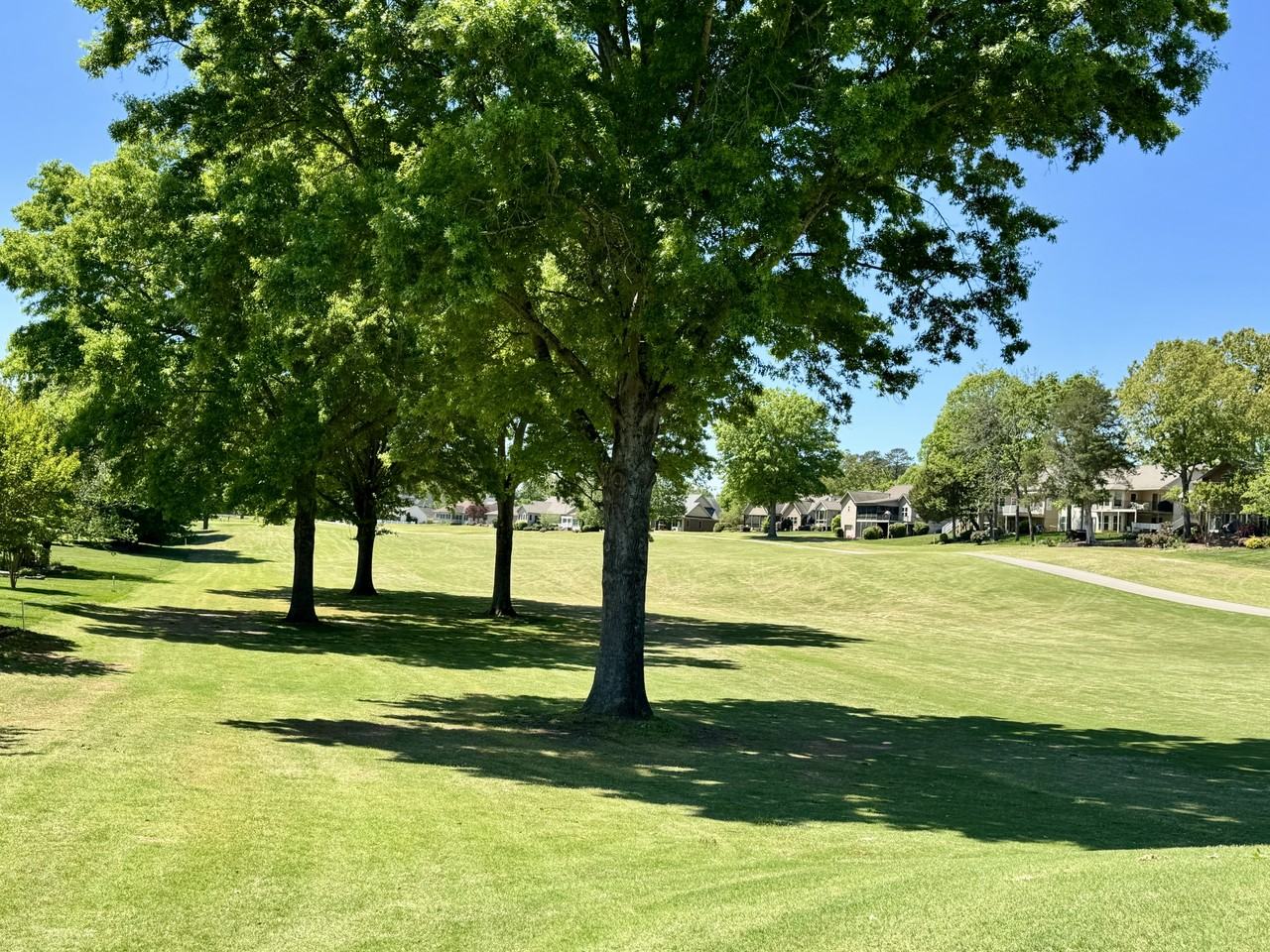 320 Tigitsi Way #1 - Photo 3 of 5