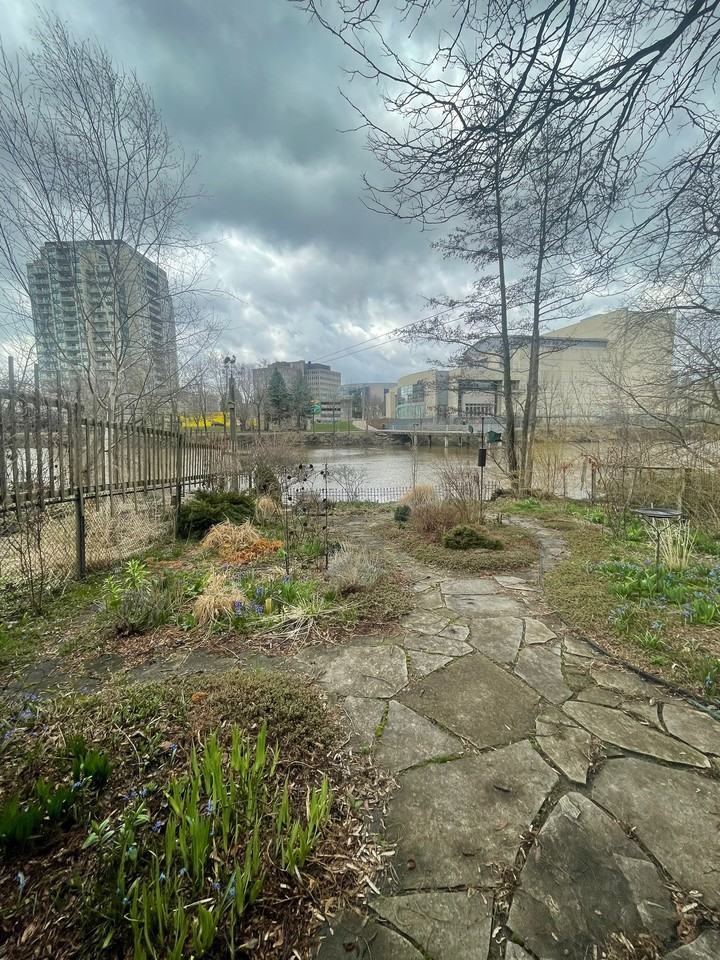 56 Arthur Street North - Photo 3 of 7