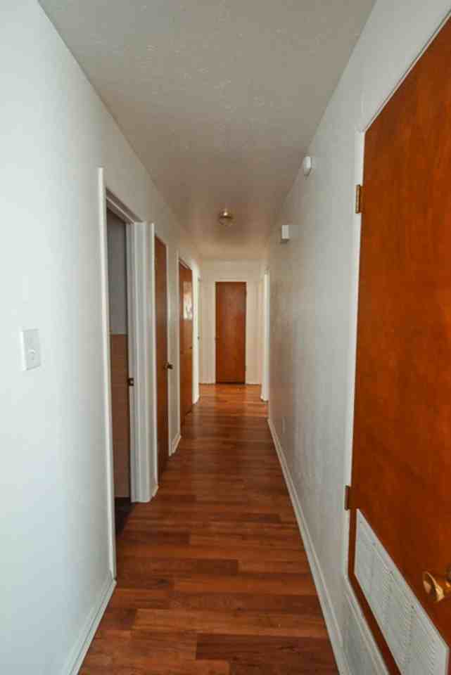 903 N Lamb St - Photo 4 of 11