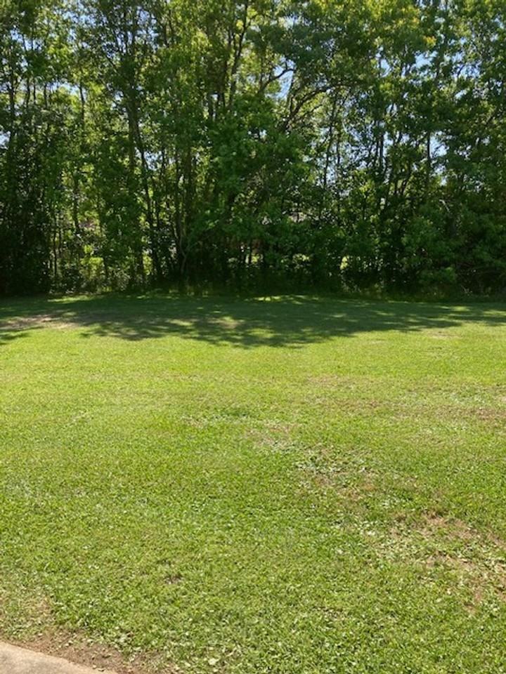 128 Cherry Ct - Photo 4 of 12