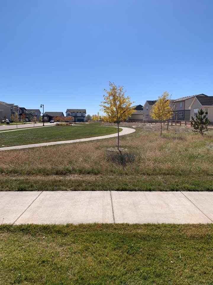 5670 Saint Lusson Ln - Photo 6 of 50