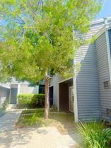 25367 Pine Creek Ln - Photo 1 of 1