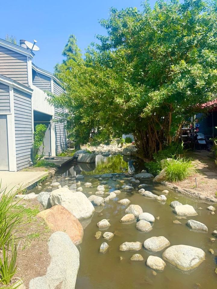 25367 Pine Creek Ln - Photo 7 of 9