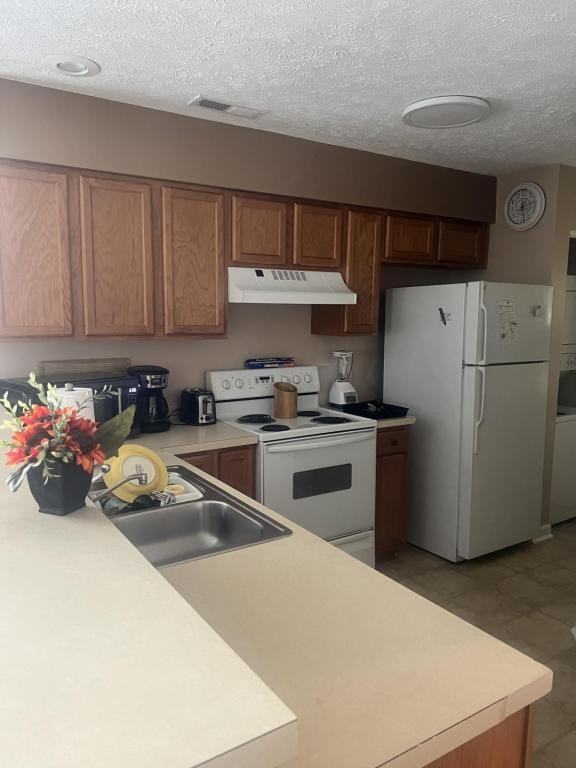 549 White River Dr ##14c - Photo 3 of 16