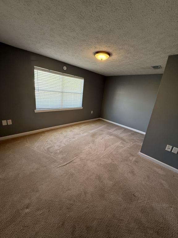 335 Massalina Dr - Photo 4 of 19