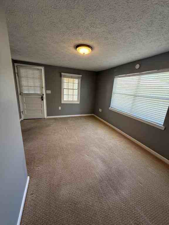 335 Massalina Dr - Photo 5 of 19