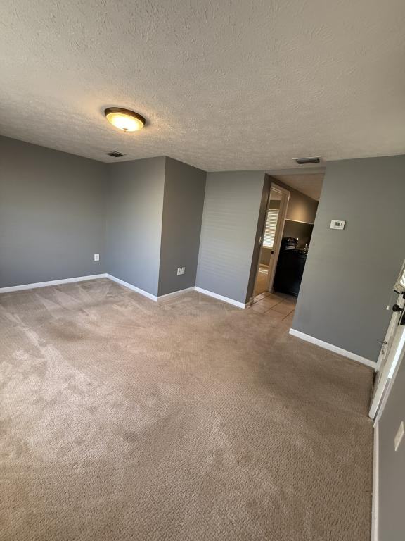 335 Massalina Dr - Photo 7 of 19