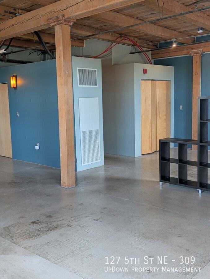 127 5th St Ne #309 - Photo 6 of 26
